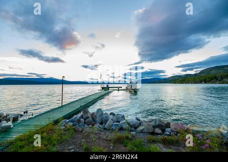 Wilderness landscape view of lake area in Yukon Territory during summertime. Wilderness body of water along the Yukon River during summer season Stock Photo