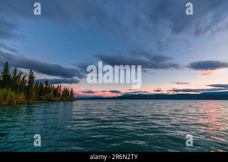 Wilderness landscape view of lake area in Yukon Territory during summertime. Wilderness body of water along the Yukon River during summer season Stock Photo