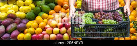 Selective focus shot of a man holding a box with grapes, with a  colorful background with various fruits Stock Photo