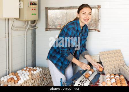 Farm employee collects fresh eggs from poultry farm conveyor Stock Photo