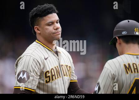This is a 2023 photo of David Macias of the San Diego Padres baseball team.  This image reflects the San Diego Padres active roster as of Thursday, Feb.  24, 2023, when this