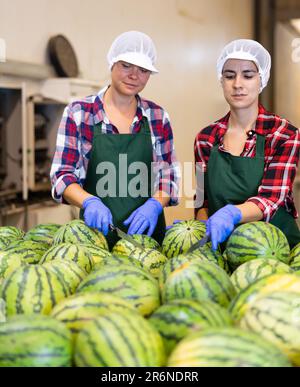 Female workers sorting watermelons in fruit factory workshop Stock Photo