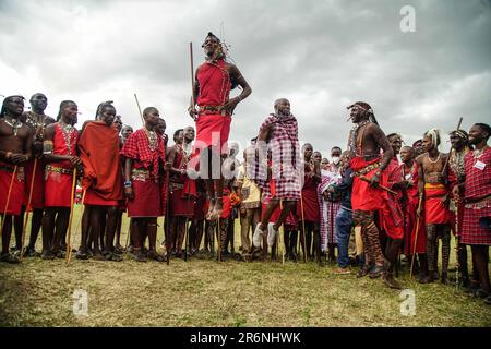 Narok, Kenya. 10th June, 2023. Maasai men wearing their traditional attires jump while singing during The Maasai Cultural Festival in Narok, near The Maasai Mara National Reserve. In their inaugural cultural festival, The Maasai sang, danced and showcased their dressing as well as their rituals. (Photo by James Wakibia/SOPA Images/Sipa USA) Credit: Sipa USA/Alamy Live News Stock Photo