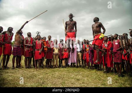 Narok, Kenya. 10th June, 2023. Maasai men wearing their traditional attires jump while singing during The Maasai Cultural Festival in Narok, near The Maasai Mara National Reserve. In their inaugural cultural festival, The Maasai sang, danced and showcased their dressing as well as their rituals. Credit: SOPA Images Limited/Alamy Live News Stock Photo