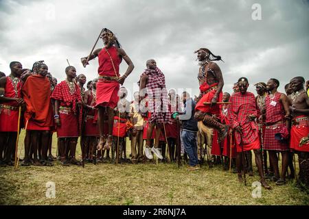 Narok, Kenya. 10th June, 2023. Maasai men wearing their traditional attires jump while singing during The Maasai Cultural Festival in Narok, near The Maasai Mara National Reserve. In their inaugural cultural festival, The Maasai sang, danced and showcased their dressing as well as their rituals. Credit: SOPA Images Limited/Alamy Live News Stock Photo