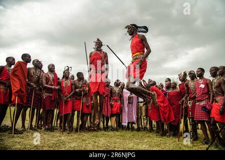 Narok, Kenya. 10th June, 2023. Maasai men wearing their traditional attires jump while singing during The Maasai Cultural Festival in Narok, near The Maasai Mara National Reserve. In their inaugural cultural festival, The Maasai sang, danced and showcased their dressing as well as their rituals. (Photo by James Wakibia/SOPA Images/Sipa USA) Credit: Sipa USA/Alamy Live News Stock Photo