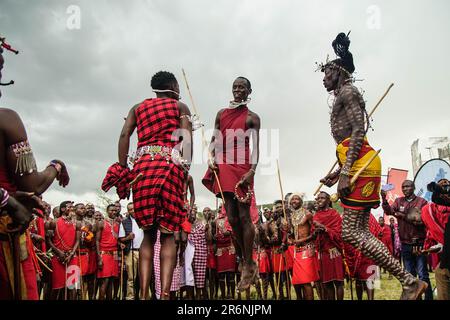 Narok, Kenya. 10th June, 2023. Maasai men wearing their traditional attires jump while singing during The Maasai Cultural Festival in Narok, near The Maasai Mara National Reserve. In their inaugural cultural festival, The Maasai sang, danced and showcased their dressing as well as their rituals. (Photo by James Wakibia/SOPA Images/Sipa USA) Credit: Sipa USA/Alamy Live News Stock Photo