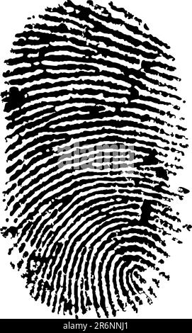 detailed finger print - vector illustration Stock Vector