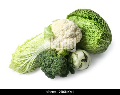 Many different types of fresh cabbage on white background Stock Photo