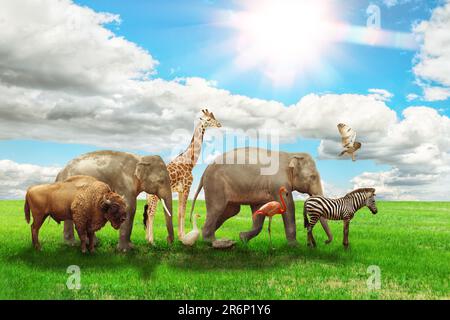 Many different animals on green grass under blue sky Stock Photo