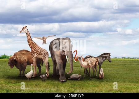 Many different animals on green grass under cloudy sky Stock Photo