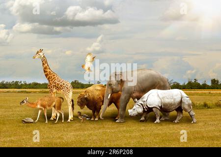 Many different animals walking under cloudy sky Stock Photo