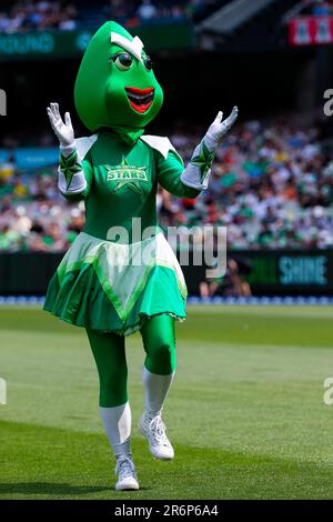 MELBOURNE, AUSTRALIA - JANUARY 18: Starlet during the Big Bash League cricket match between Melbourne Stars and Perth Scorchers at The Melbourne Cricket Ground on January 18, 2020 in Melbourne, Australia. Stock Photo