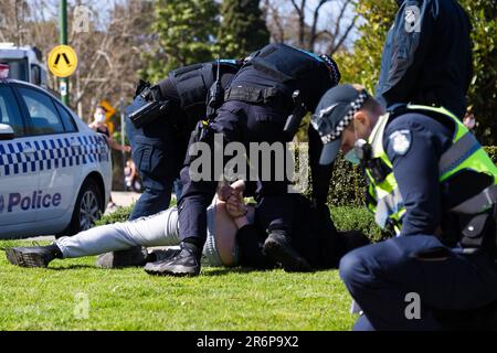 MELBOURNE, VIC - SEPTEMBER 05: Police arrest a man during the Anti-Lockdown Protest on September 05, 2020 in Sydney, Australia. Stage 4 restrictions are in place from 6pm on Sunday 2 August for metropolitan Melbourne. This includes a curfew from 8pm to 5am every evening. During this time people are only allowed to leave their house for work, and essential health, care or safety reasons. Stock Photo
