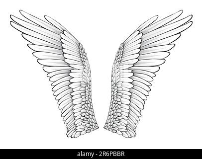 Wings (Realistic Illustration / Design Elements) Stock Vector