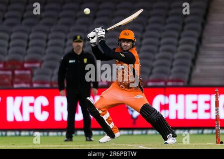 MELBOURNE, AUSTRALIA - JANUARY 19: Colin Munro of Perth Scorchers during the Big Bash League cricket match between Perth Scorchers and Brisbane Heat at Marvel Stadium on January 19, 2020 in Melbourne, Australia. Stock Photo