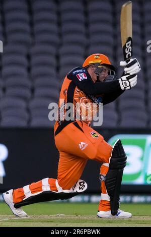 MELBOURNE, AUSTRALIA - JANUARY 19: Colin Munro of Perth Scorchers during the Big Bash League cricket match between Perth Scorchers and Brisbane Heat at Marvel Stadium on January 19, 2020 in Melbourne, Australia. Stock Photo