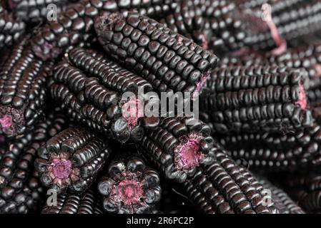 Purple Corn (Zea mays indurata) cobs pattern on local market, Cusco, Peru. Stock Photo