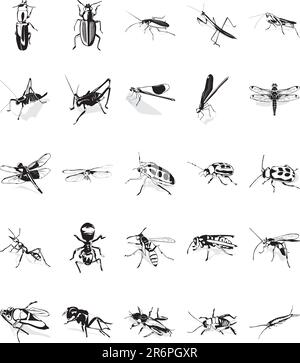 Twenty smooth vector clipart illustration of various insects Stock Vector