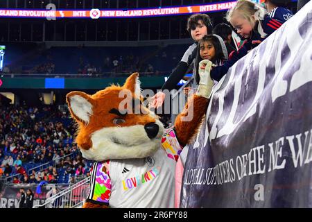 Slyde, the New England Revolution mascot, stands in the tunnel