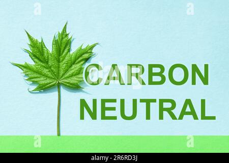 Leaf maple on blue background. Carbon Neutral. Eco save. Green energy, clean natural energy. Sustainable concept. Stock Photo