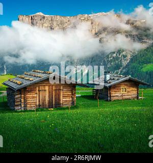 Cozy wooden chalets on the green flowery slopes in Dolomites, Italy, Europe Stock Photo