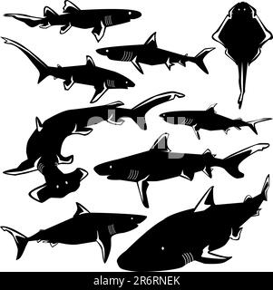 Dangerous sharks in vector silhouette with stylized illustration Stock Vector