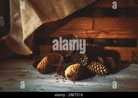 Fir cones on a wooden background. Natural material for creativity. Stock Photo