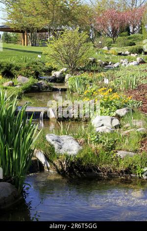 Watercourse, Dehner Park, Rain Stock Photo