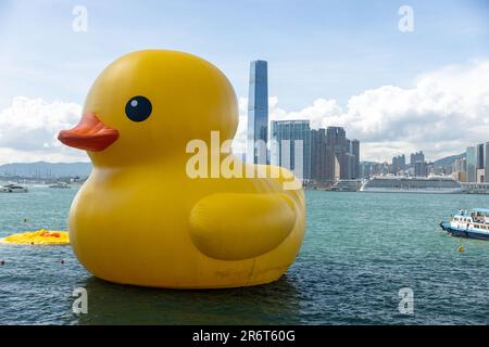 Hong Kong, Hong Kong. 10th June, 2023. 'Double Duck' by Dutch artist Florentijn Hofman., in Hong Kong Hong Kong, S.A.R. Hong Kong, June 10, 2023. (Photo by Simon Jankowski/Sipa USA) Credit: Sipa USA/Alamy Live News Stock Photo