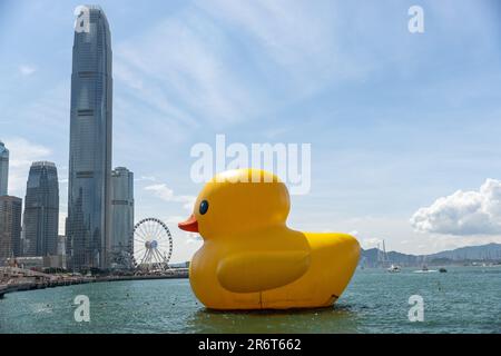 Hong Kong, Hong Kong. 10th June, 2023. 'Double Duck' by Dutch artist Florentijn Hofman., in Hong Kong Hong Kong, S.A.R. Hong Kong, June 10, 2023. (Photo by Simon Jankowski/Sipa USA) Credit: Sipa USA/Alamy Live News Stock Photo