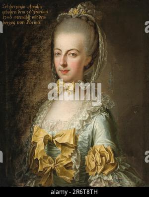 Portrait of Archduchess Maria Amalia of Austria (1746-1804), Duchess of Parma. Museum: PRIVATE COLLECTION. Author: ANONYMOUS. Stock Photo