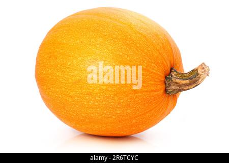 Ripe pumpkin vegetable isolated on white background Stock Photo