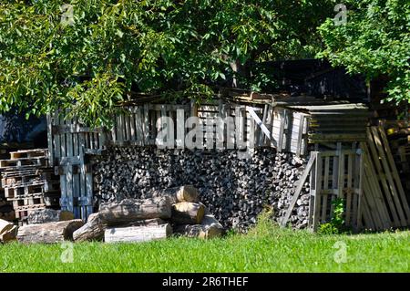 Wooden pallets, firewood in the orchard Stock Photo