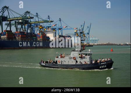 Excursion ship in container port, Flanders, Zeebrugge, West Flanders, Belgium Stock Photo