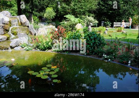 Botanical Garden, Antwerp, Flanders, Belgium Stock Photo