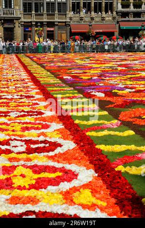 Flower carpet on Town Hall Square, Rathausplatz, Grand-Place, Grote Markt, Brussels, Belgium Stock Photo