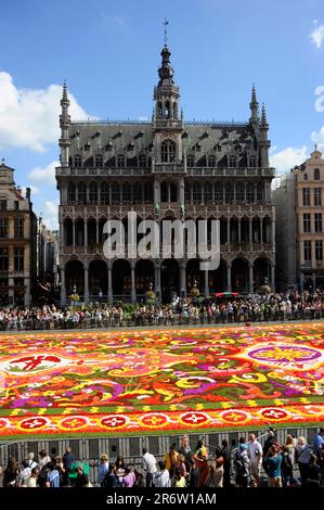 Flower carpet on Town Hall Square, Rathausplatz, Grand-Place, House of the King, Maison du Roi, Grote Markt, Brussels, Belgium Stock Photo