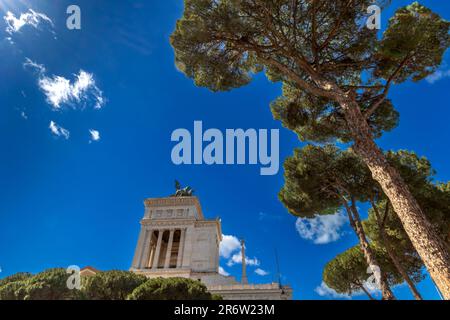 The Victor Emmanuel II Monument seen between Stone Pine trees (Pinus pinea) in Rome, Italy Stock Photo