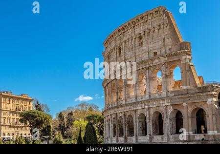 The Colosseum in the centre of Rome, largest ancient amphitheatre ever built, Rome,Italy Stock Photo