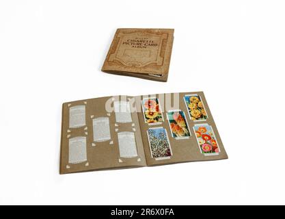 1920s Wills cigarette picture-card album, opened to show a collection of flower cards, isolated on a white background, UK Stock Photo