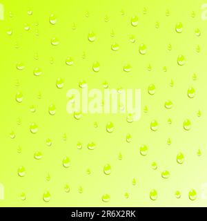 Water Drops Stock Vector