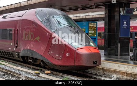 An Italo high speed train AGV575 number 01 at Roma Termini, Rome,Italy ...