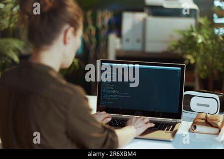 Seen from behind modern woman with laptop developing program in modern office. Stock Photo