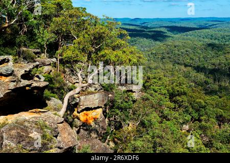 Sublime Point lookout offers sensational views of the Jamison Valley, Blue Mountains National Park, New South Wales, Australia Stock Photo