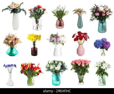 Collage with many beautiful bouquets and flowers in different vases on white background Stock Photo