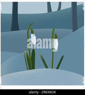 Two snowdrops on snow in early spring. Vector illustration. AI8 compatible eps file Stock Vector