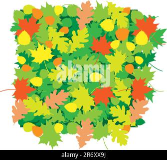 The oak and maple leaves texture Stock Vector