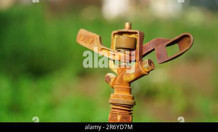 Sprinkler irrigation system installed in the green field. Micro sprinkler systems are used where complete area is to be covered perfectly without caus Stock Photo