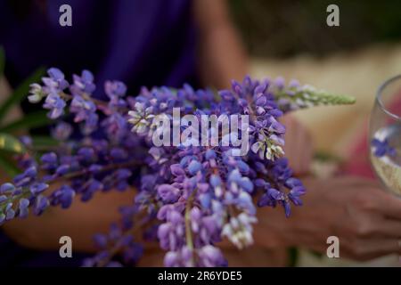 Bouquet of summer lupins. Connecting with nature, well being, life balance concept. Stock Photo